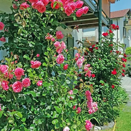 Haus Kees - 2 Lejlighed *